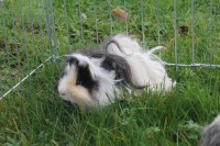 /album/galerie-photos/img-7355-jpg/