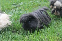 /album/galerie-photos/img-7377-jpg/