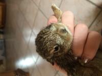 /album/galerie-photos/img-0215-jpg/