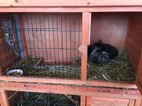 /album/galerie-photos/img-0224-jpg/