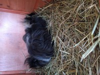 /album/galerie-photos/img-0225-jpg/