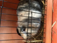 /album/galerie-photos/img-0222-jpg/