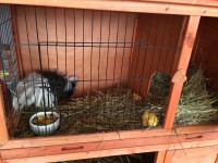 /album/galerie-photos/img-0223-jpg/