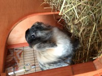 /album/galerie-photos/img-0228-jpg/