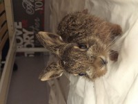 /album/galerie-photos/img-0330-jpg/