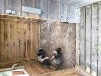 /album/galerie-photos/img-0515-jpg/