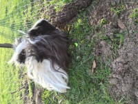 /album/galerie-photos/img-0518-jpg/