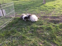 /album/galerie-photos/img-0519-jpg/