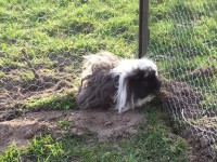 /album/galerie-photos/img-0520-jpg/