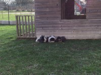 /album/galerie-photos/img-0502-jpg/