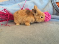 /album/galerie-photos/img-0664-jpg/