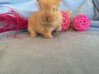 /album/galerie-photos/img-0665-jpg/