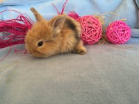 /album/galerie-photos/img-0666-jpg/