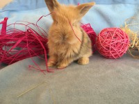 /album/galerie-photos/img-0668-jpg/