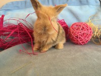 /album/galerie-photos/img-0669-jpg/