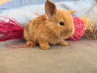 /album/galerie-photos/img-0670-jpg/