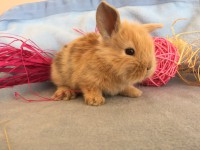 /album/galerie-photos/img-0671-jpg/