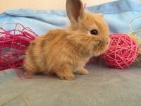 /album/galerie-photos/img-0672-jpg/