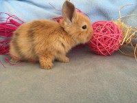 /album/galerie-photos/img-0673-jpg/