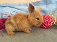 /album/galerie-photos/img-0674-jpg/