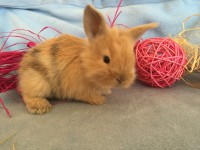 /album/galerie-photos/img-0675-jpg/