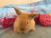 /album/galerie-photos/img-0676-jpg/