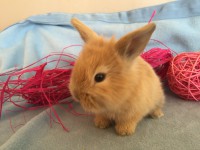 /album/galerie-photos/img-0677-jpg/