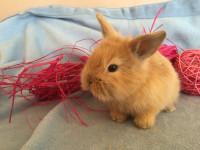 /album/galerie-photos/img-0678-jpg/