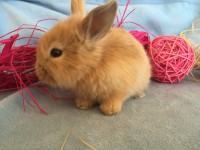 /album/galerie-photos/img-0680-jpg/