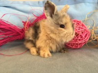 /album/galerie-photos/img-0681-jpg/