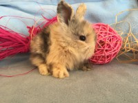 /album/galerie-photos/img-0682-jpg/